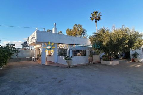 Villa a Oliva, Valencia, Oliva - € 800/mes | Ref: PNRN358 - foto 18